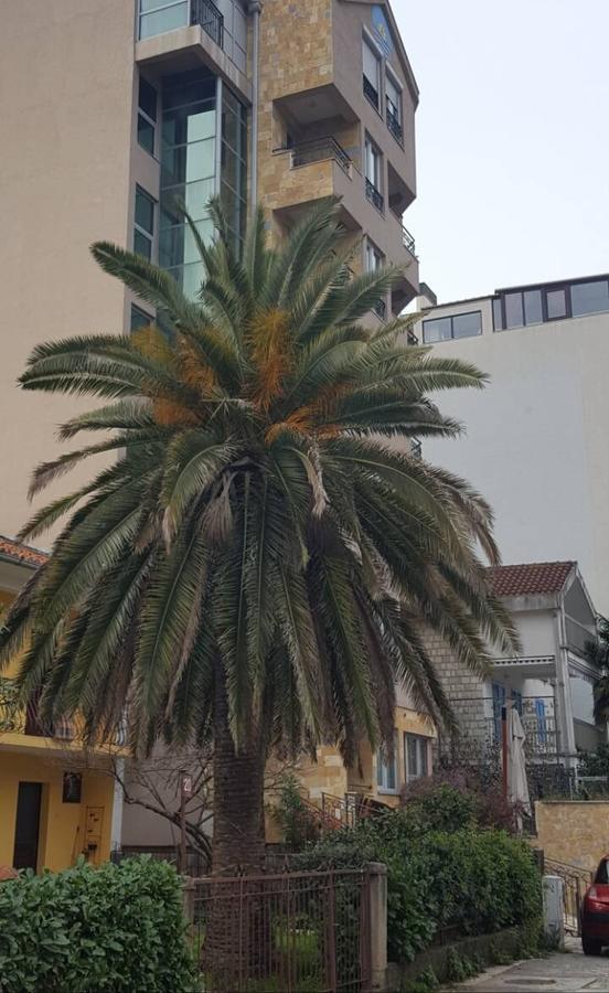 בודווה Apartman Centar Lux מראה חיצוני תמונה